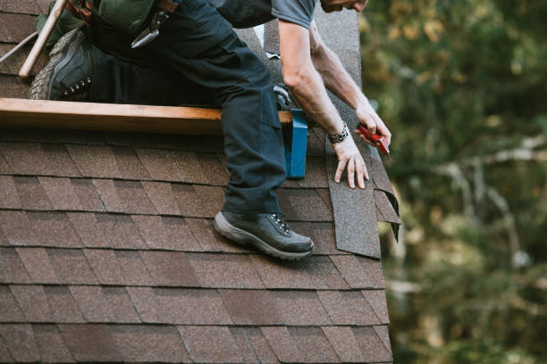 Best Roof Gutter Cleaning  in Haymarket, VA
